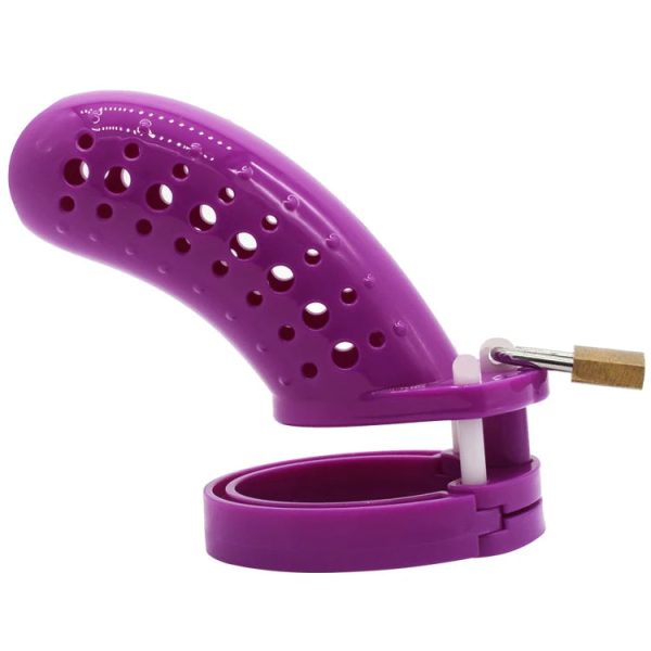 Gay Chastity Device Cock Cage 5 Size Rings Sex Products For Men - Image 7