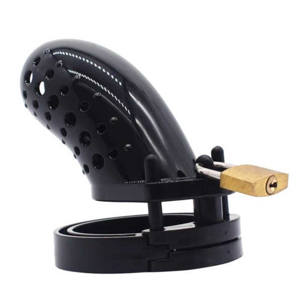 Gay Chastity Device Cock Cage 5 Size Rings Sex Products For Men - Image 5