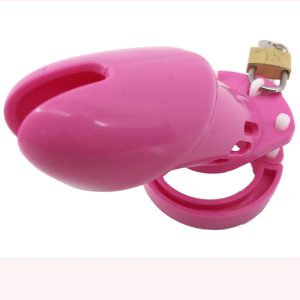 Sex Toys CB6000 Male Chastity Device Cock Cage With 5 Size Rings Brass Lock