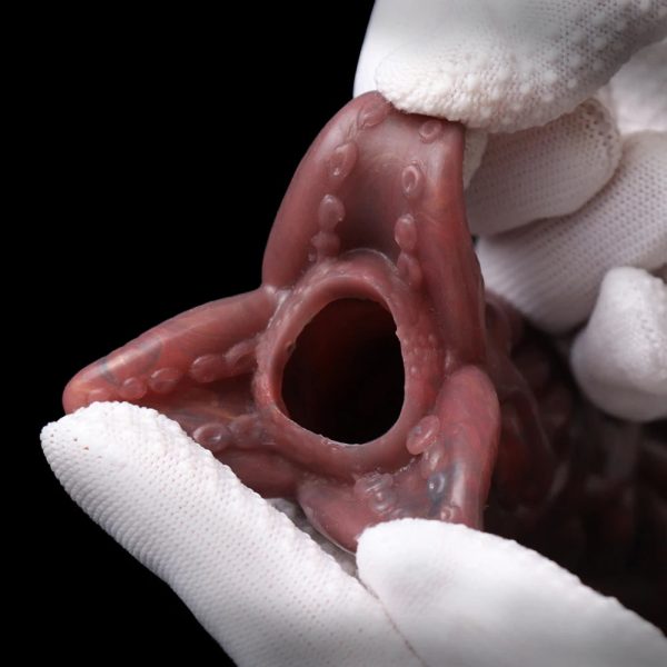 New Ovipositor Anal Plugs For Women Anus Orgasm Experience Multi Colour - Image 4
