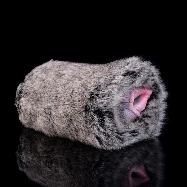 2 in 1 Dog Male Masturbator With Vagina and Anal With Artificial - Image 4
