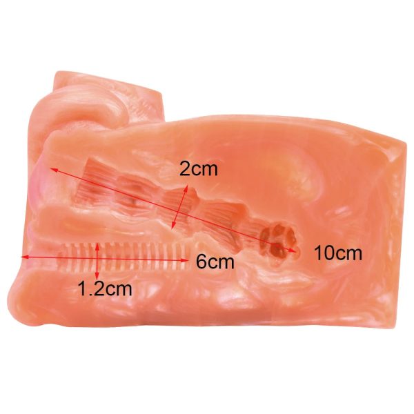 Soft Liquid Silicone Realistic Cat Male Masturbator Sex Toys - Image 6