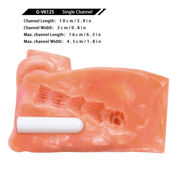 Soft Liquid Silicone Realistic Cat Male Masturbator Sex Toys - Image 5